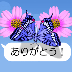 Rainbow Butterfly (Movie 03)