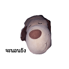 Dog_20191018081947