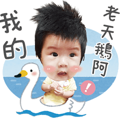 彎彎小皮蛋日常