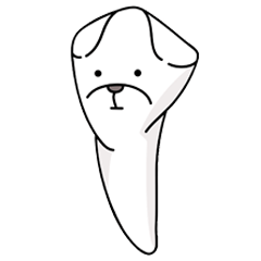 a tooth dog
