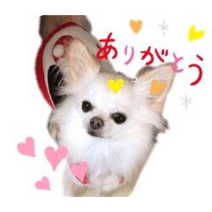 chie_20191018213444