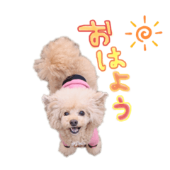 riho_petit