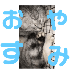 family_20191018230741