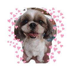 MIKO_20191018234422