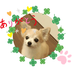 RAN_20191019005812