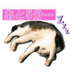 monaka_20191019103827