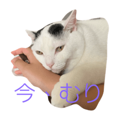 Arisa_20191019103926