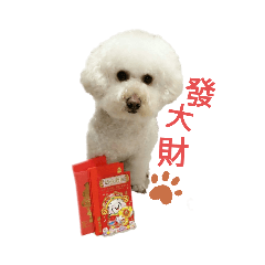 狗_奶油