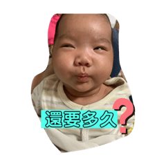 綺綺的表情貼圖