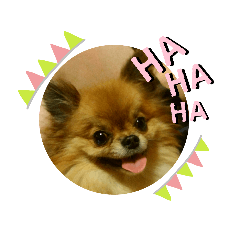pon_20191019135904