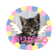 PON_20191019131918