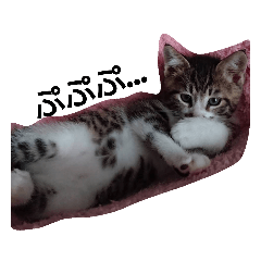 akane_20191019013620