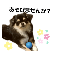 mimi_20191019124842