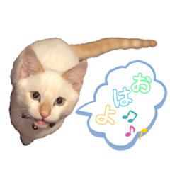 omo_20191019125545