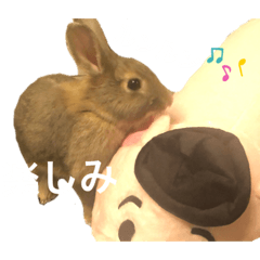 aoi_20191019163526