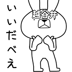 Dialect rabbit [koshigaya]