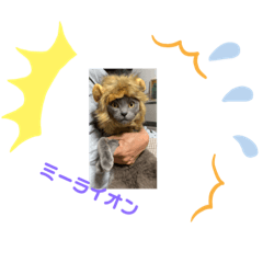 meme_20191019175800
