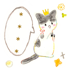 Bangs cute cat 'Hime-chan'