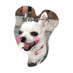 陳家娃娃的日常