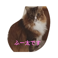 fu-ta-@