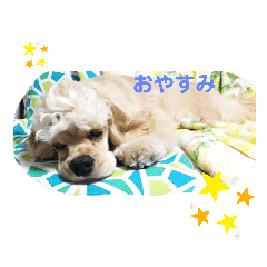 Maron_20191019073354