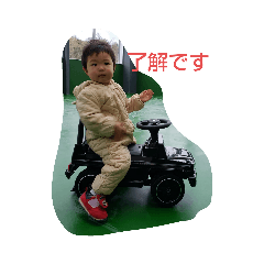 panda_20191020012635