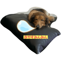 kaito_20191020050732