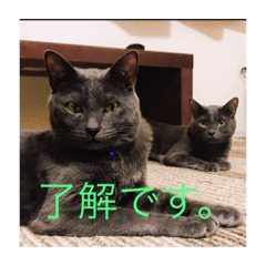 NANAMI_20191020070230