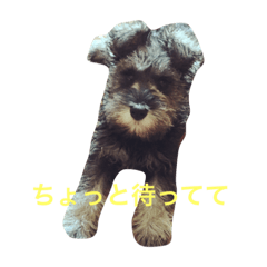 bee_20191020101649