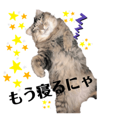 kurumi_20191020121343