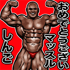 Shingo dedicated Muscle macho sticker 4