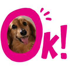 mayu_20191020204713elmo