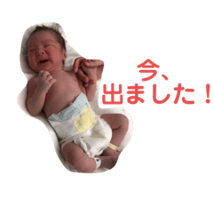 kayo.m