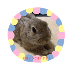 yuina_20191020205615