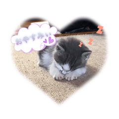 rika_20191020224547