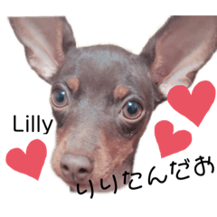 YURINA_20191020231131