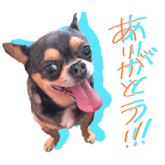 hana_20191021000333