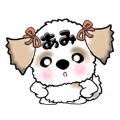 Shih Tzu Dog Ami-chan 2