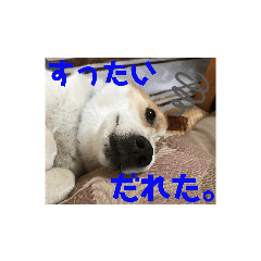 Meg_20191020225430