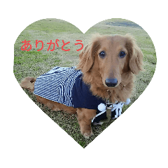 RIKU_20191020225552