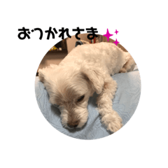 SAYURI_20191021112648