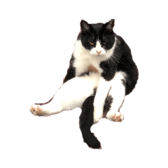 saori_20191021111848