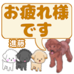 Shindou's. letters toy poodle