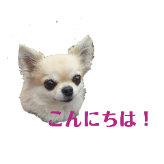 mizuki_20191021203411