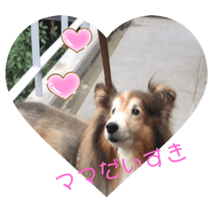jun_20191021211743