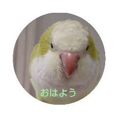 rrr_20191021211504