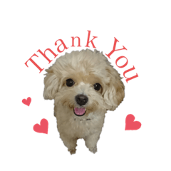 arisa_20191021213007