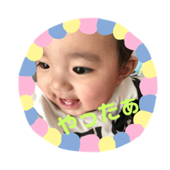 panda_20191021230622