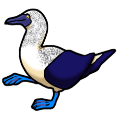 Blue-Footed Booby and Japanese for trip