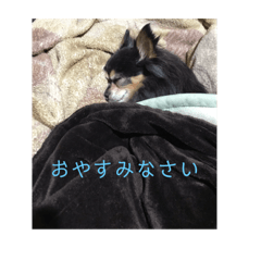 nagisa_20191022003307